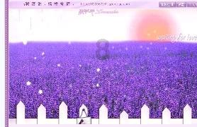 全球首款Android 15旗舰！谷歌Pixel 9外观首曝
