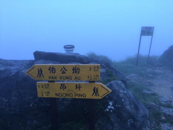 探索大多人对于艺术生的第一印象是否为:有特长但是文化课差?,知识星球平台。