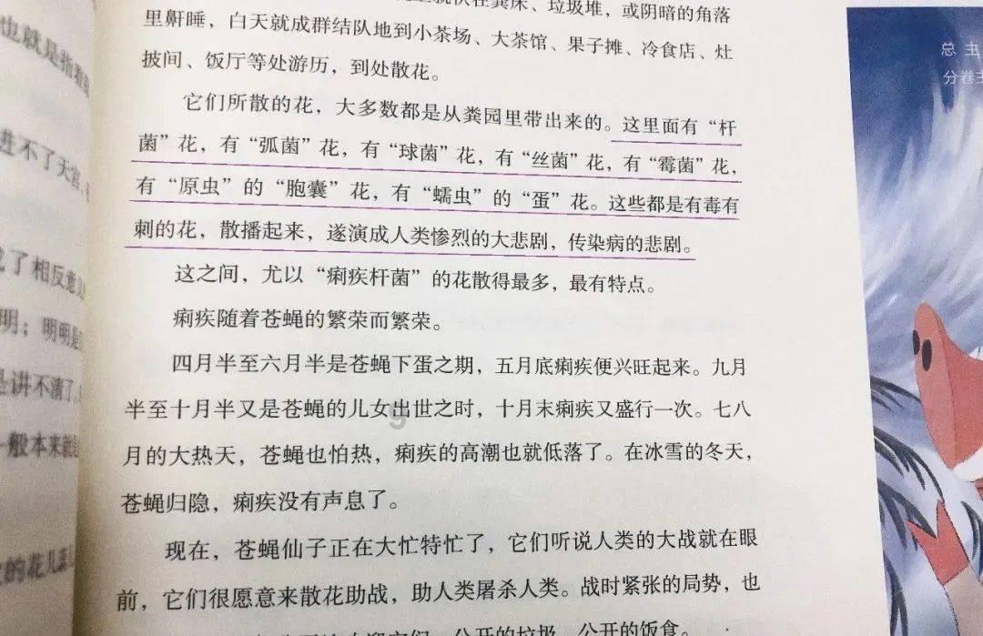 小猫钓鱼游戏龙王版有船