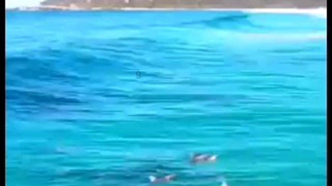 皇冠地下城