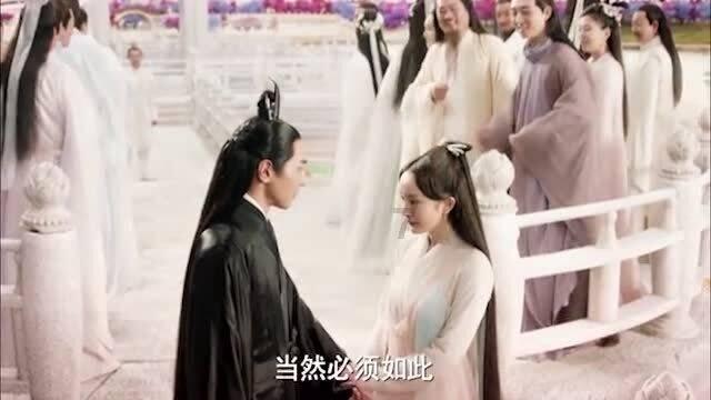 狗狗物品记忆卡