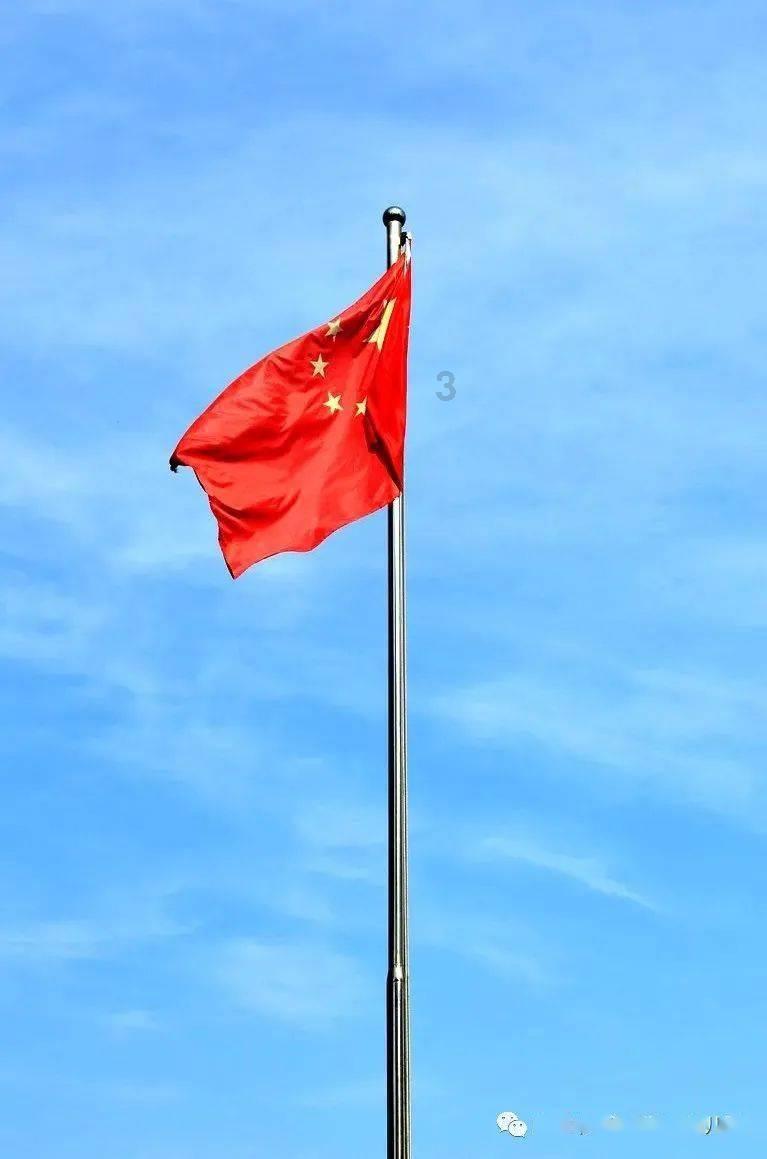 逃离倒影森林