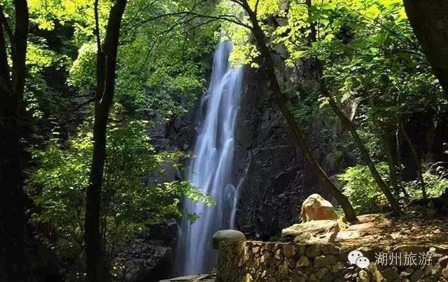 把盐碱地变成米粮川(自然之子)