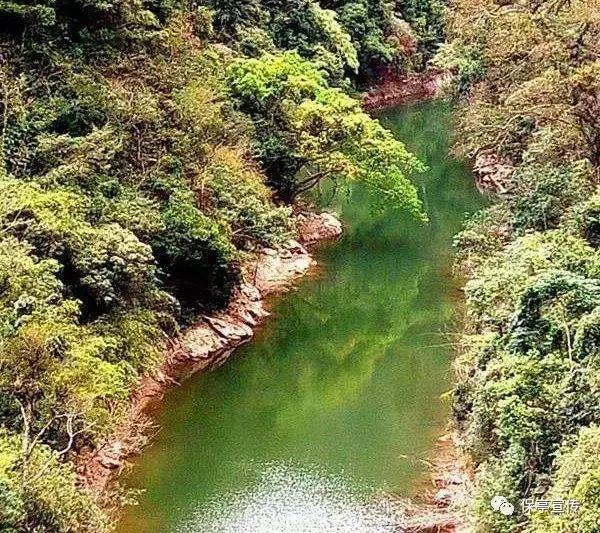 女性在遭遇侵犯时,应该以死相抗还是假意顺从,到底该怎样选择?