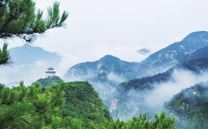 这是警察
